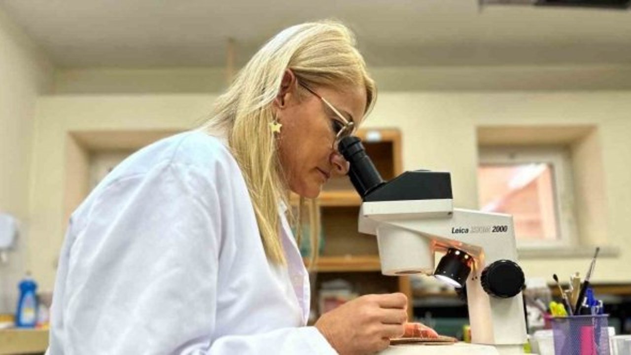 Sır ölümlerin ipuçlarını ‘sinekler’ ve ‘böcekler’ veriyor