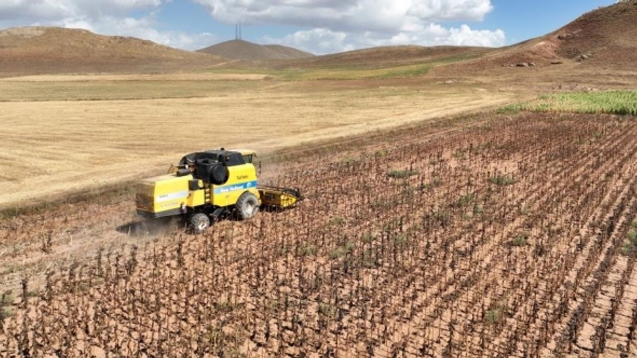 Tarımsal girdi fiyat endeksi yıllık yüzde 40,97 arttı