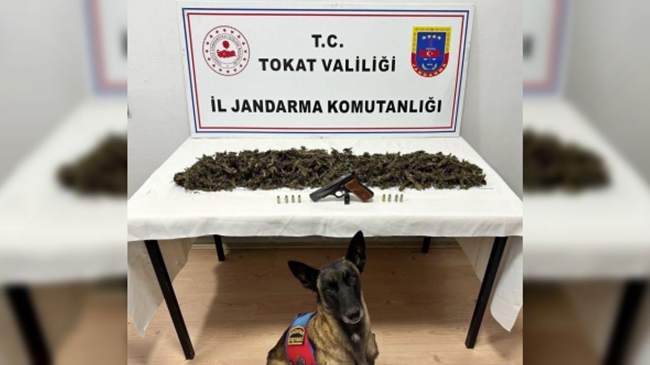 Tokat’ta bir araçta 2 kilo 300 gram esrar ele geçirildi