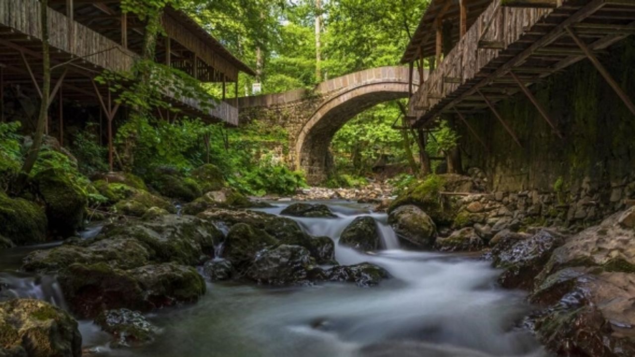 400 fotoğraf tutkunun katıldığı yarışmada kazanan belli oldu