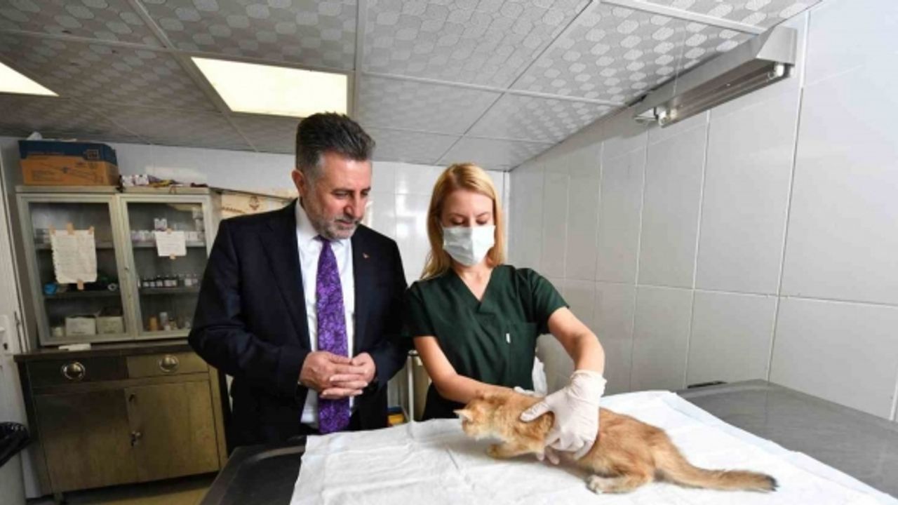 Bayraklı’da son 4,5 yılda 20 bin sokak hayvanına sağlık hizmeti