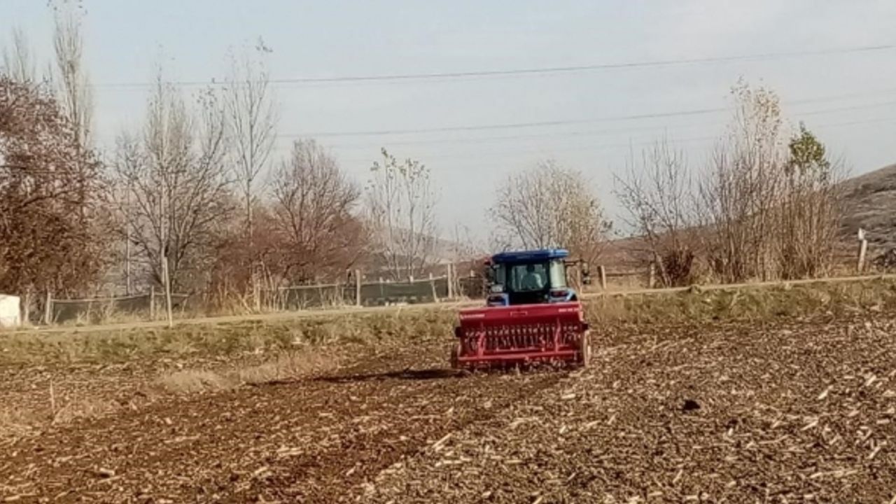 Bin yıllık ata tohumu ‘Karakılçık’ buğdayı toprakla buluştu