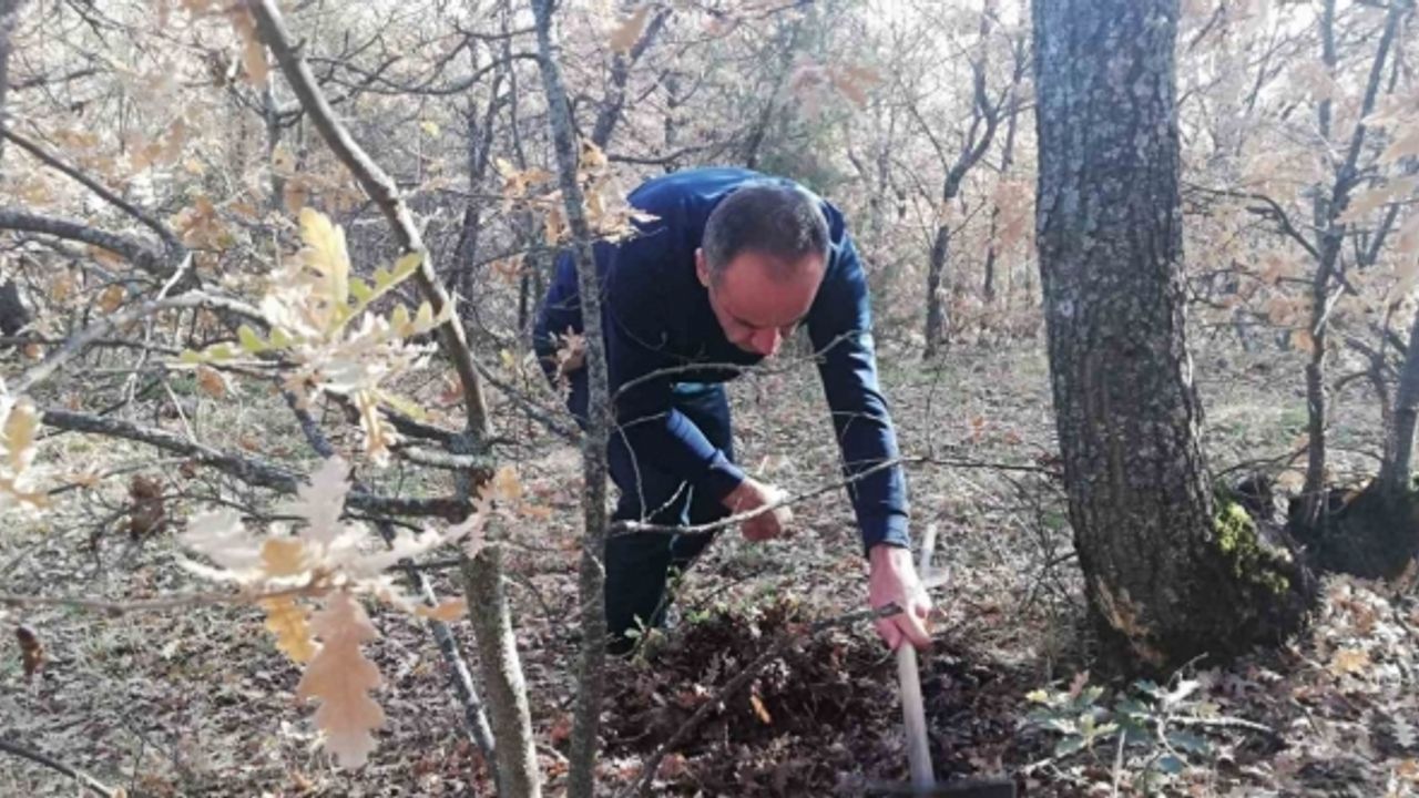 Bitkilerde faydalı ve zararlı organizma tespiti yapıldı