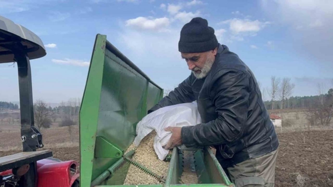 Buğdayların atası 12 bin yıllık siyez, toprakla buluştu