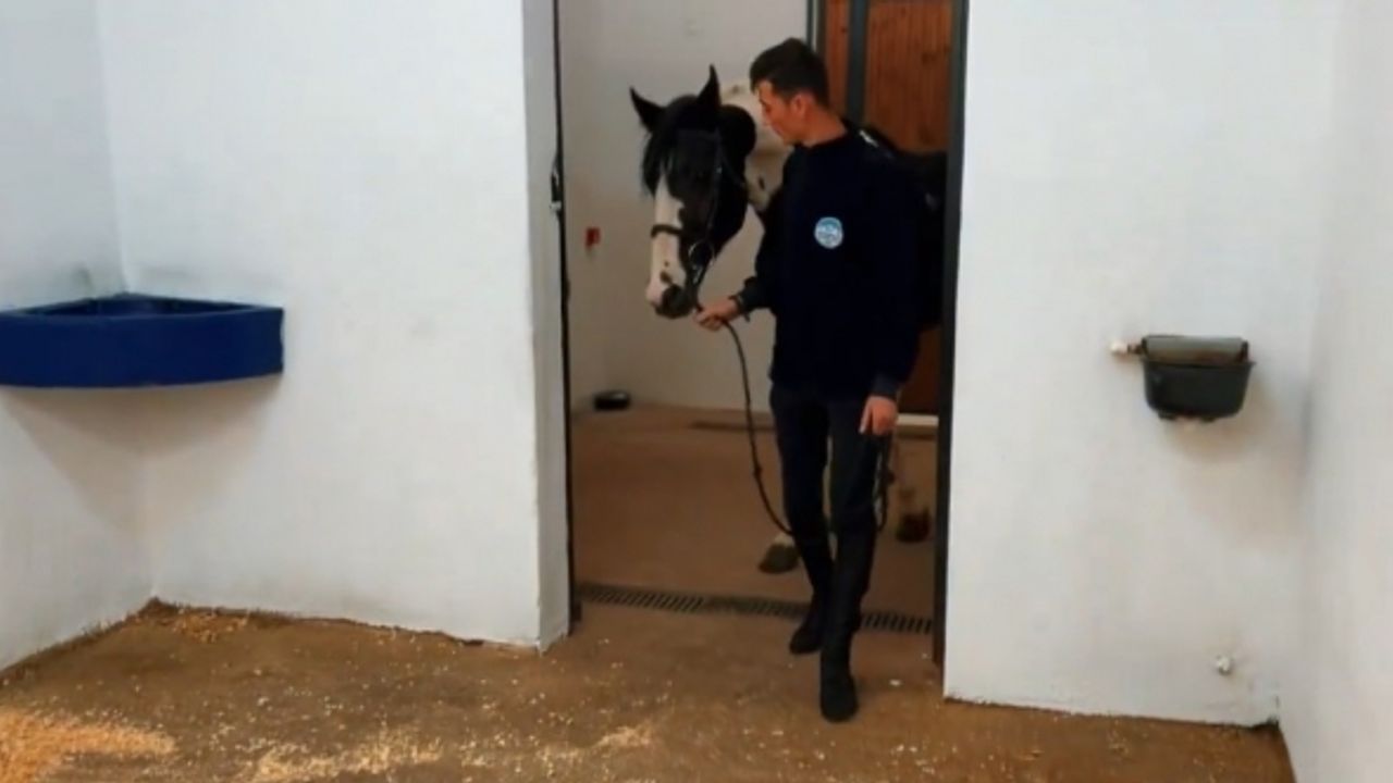 Büyükşehir Spor AŞ "At Pansiyonu" hizmeti başlattı