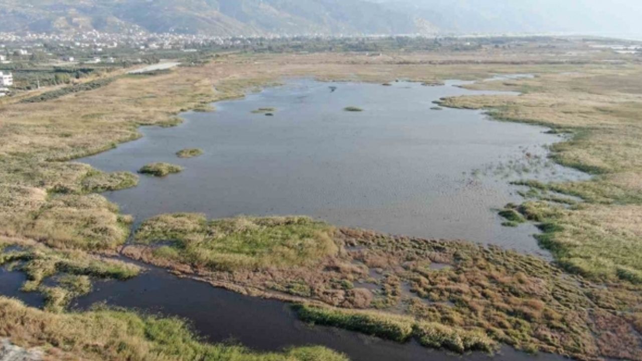 Kurak geçen yaz mevsimiyle yok olma noktasına gelen kuş cenneti, yağışlı havayla yeniden canlandı