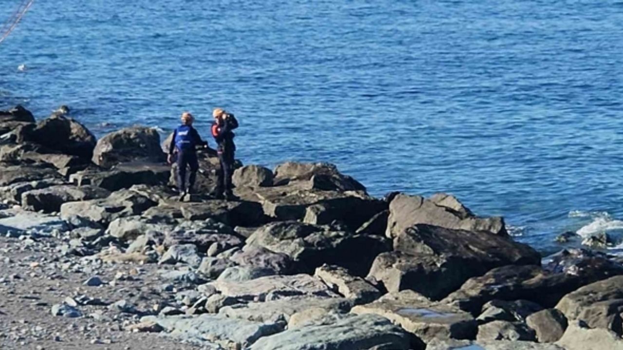 Odun toplamak için gittiği sahilde dalgalar arasında kaybolan kadını arama çalışmaları 6. gününde sürüyor