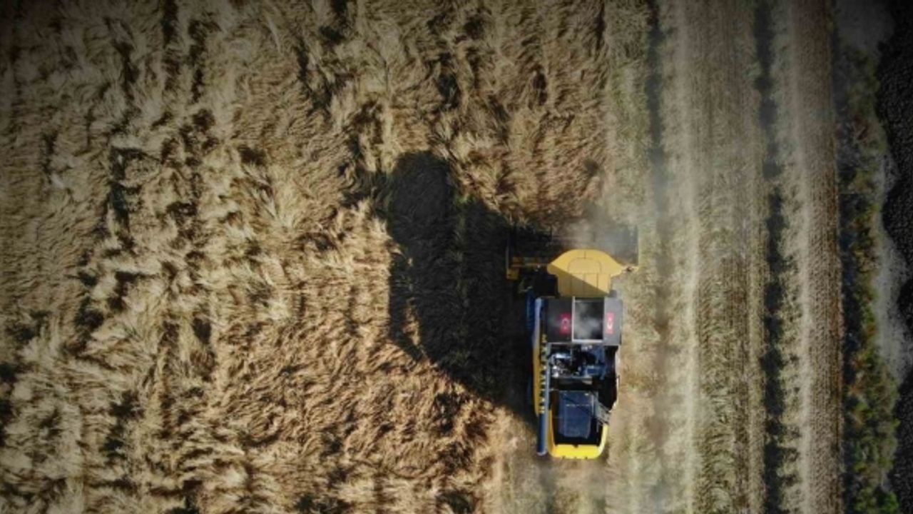 Tarım başkenti Konya, 13 üründe üretim miktarı olarak Türkiye’de ilk sırada
