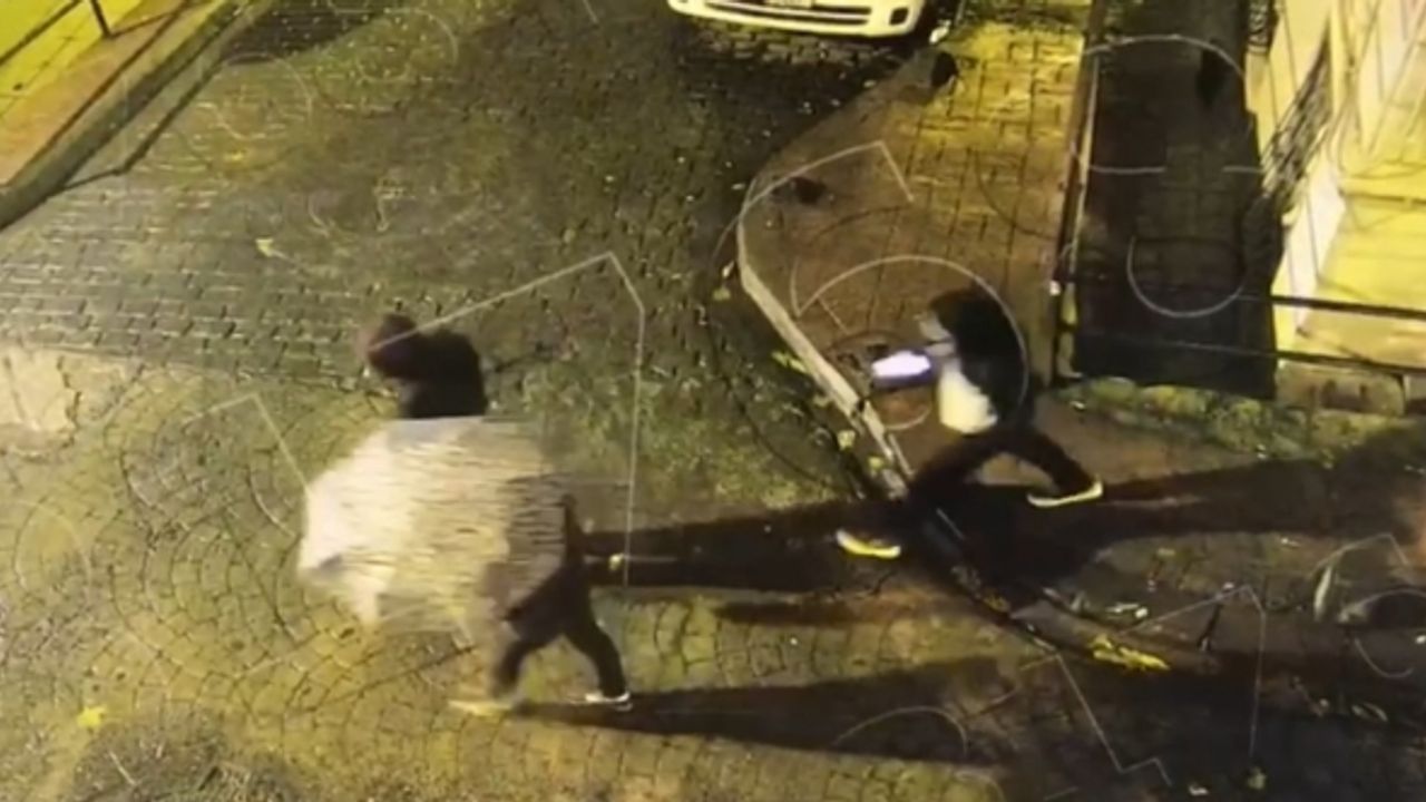 Ünlü oryantal Didem Kınalı’ya kapkaç şoku, polis şahısları kıskıvrak yakaladı