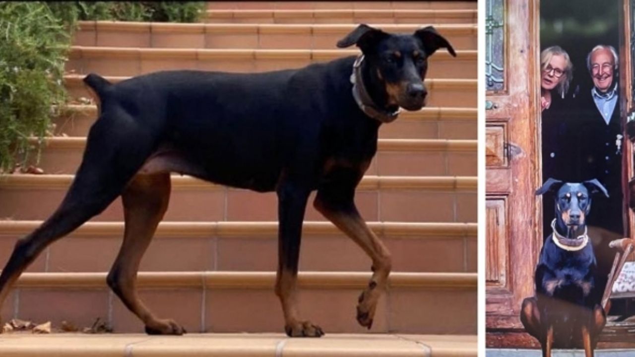 200 gündür haber alınamayan Korhan Berzeg’in araçla kaçırıldığı iddia ediliyor