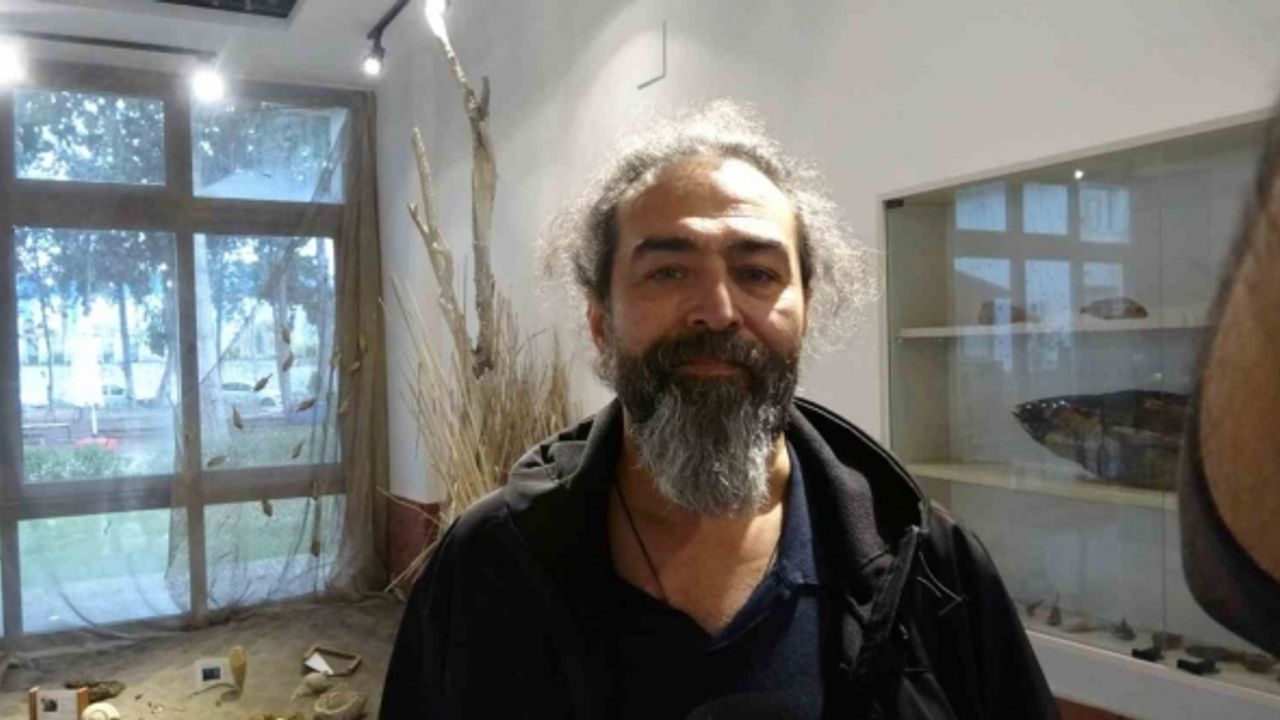 20 günde 2 köpek balığı kıyıya vurdu, uzmanın açıklamaları hem düşündürdü hem rahatlattı