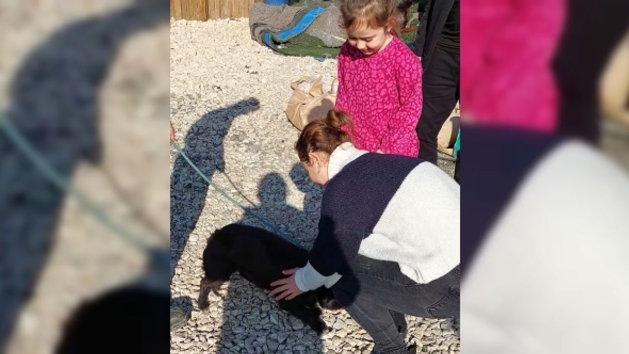 7 aydır kayıp köpeğin sahibi ile buluşma anı duygulandırdı