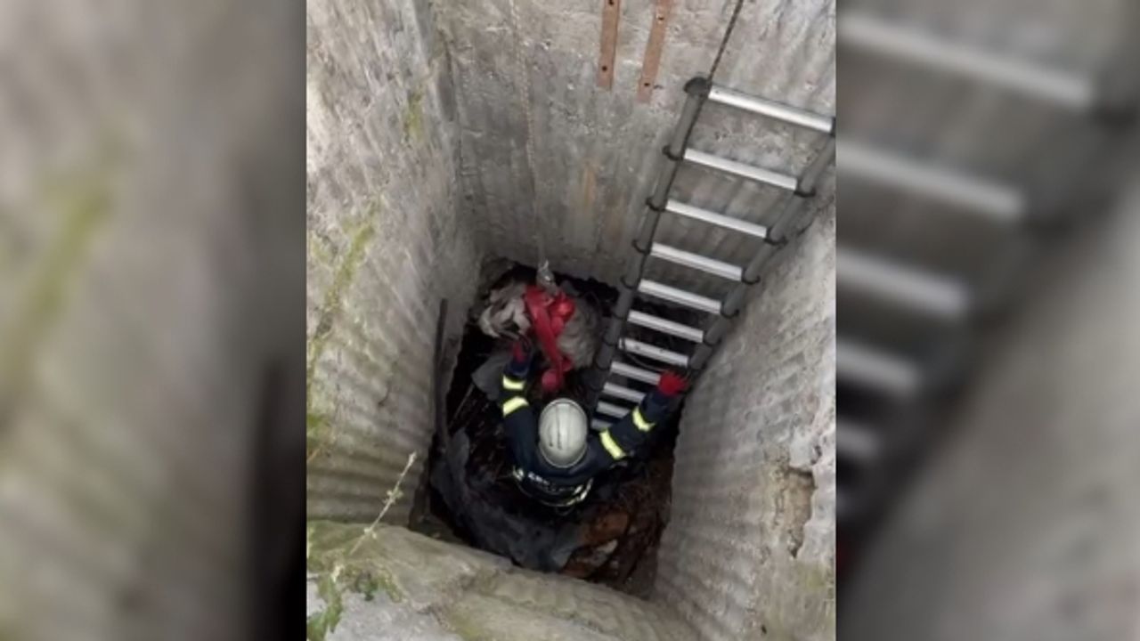 7 metrelik kuyuya düşen keçi için seferber oldular