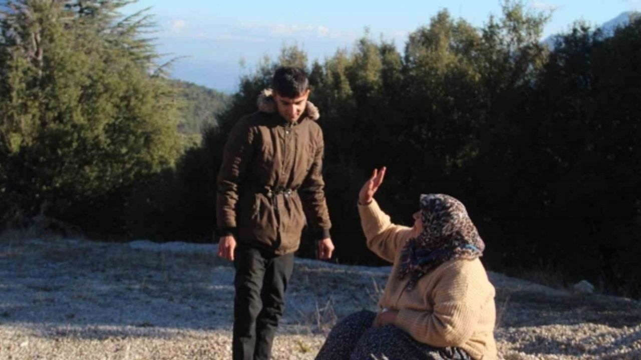 Ağaçların şarampole uçmaktan kurtardığı otobüs şoförüne yaşlı yolcudan moral