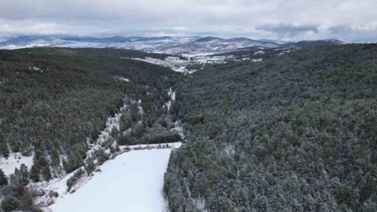 Ankara’da dondurucu soğuklar nedeniyle buz tutan göl görenleri hayran bırakıyor