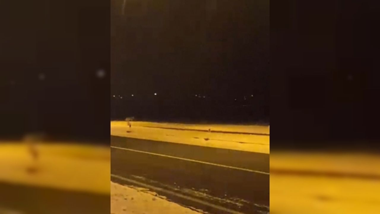 Ardahan’da aç kalan kurtlar şehir merkezine indi