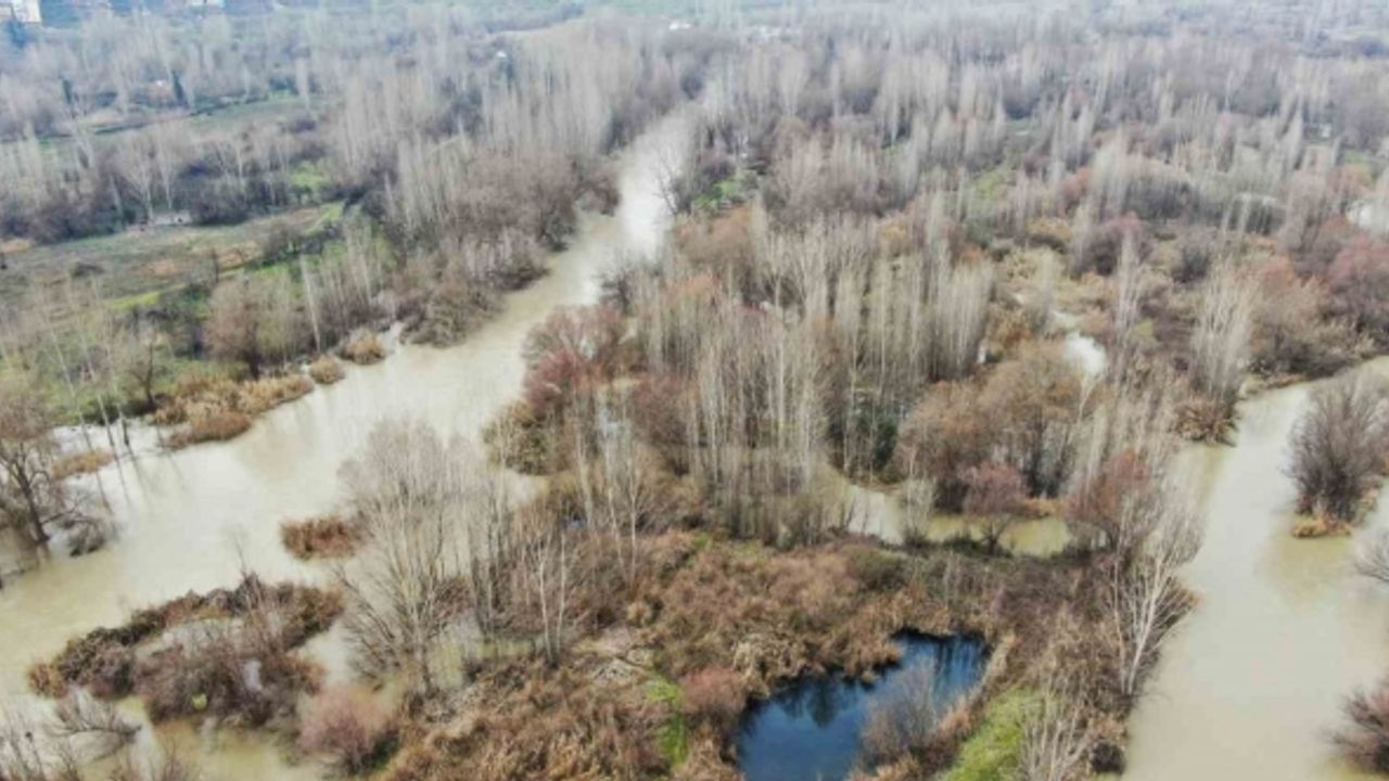 Basra Körfezi’ne dökülen Dicle Nehri’nde hayat tehdit altında