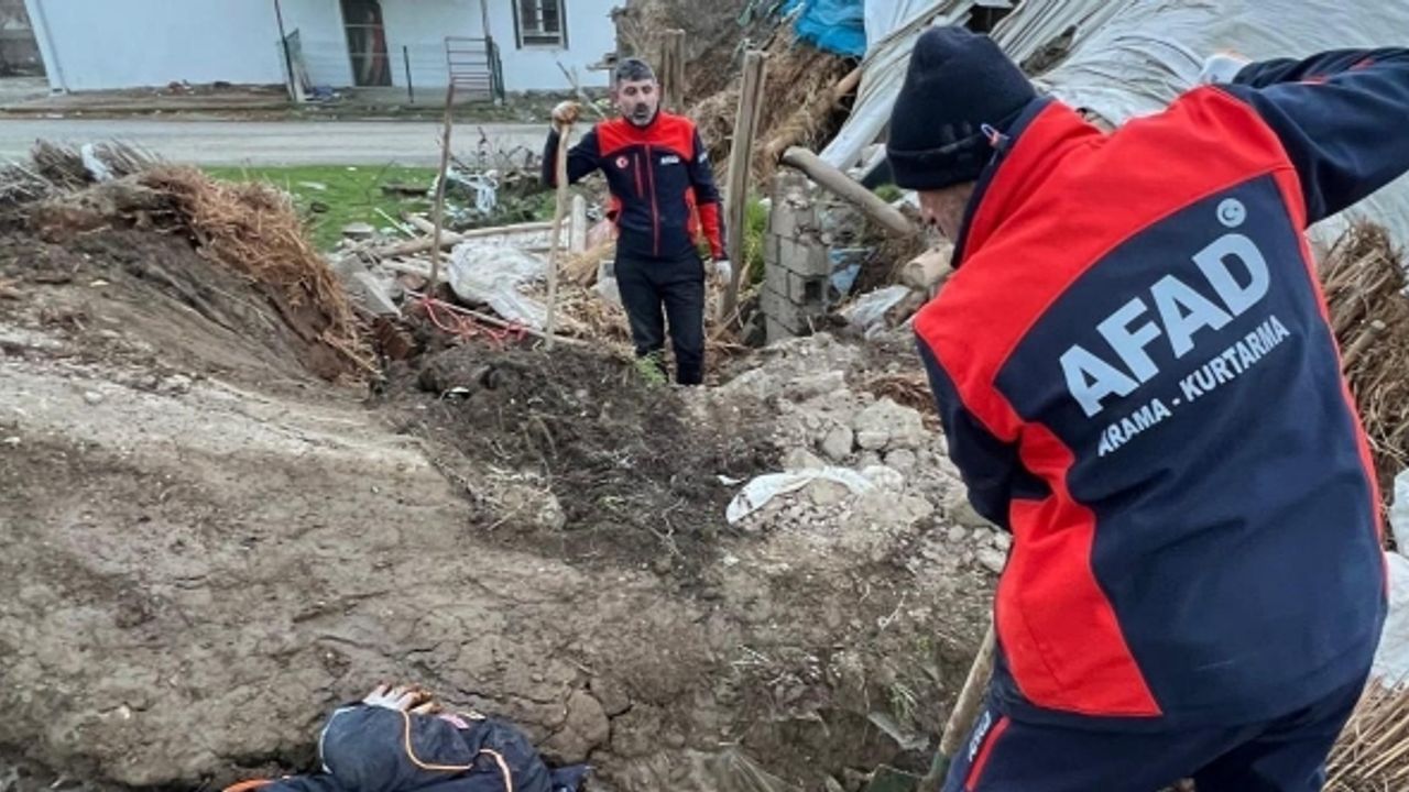 Batman’da ahır çöktü: 8 yavru köpekten 5’i kurtarıldı