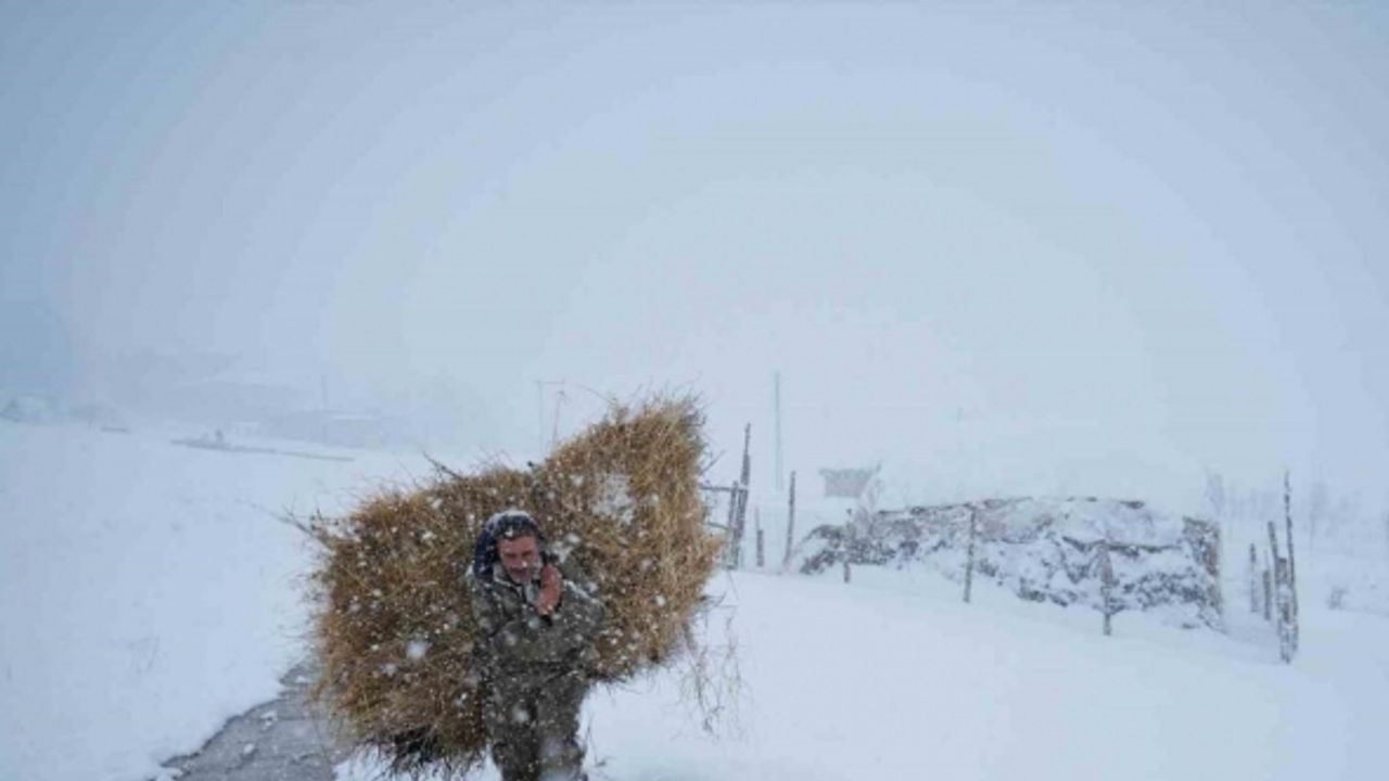 Besicilerin dondurucu soğukta zorlu kış mesaisi sürüyor