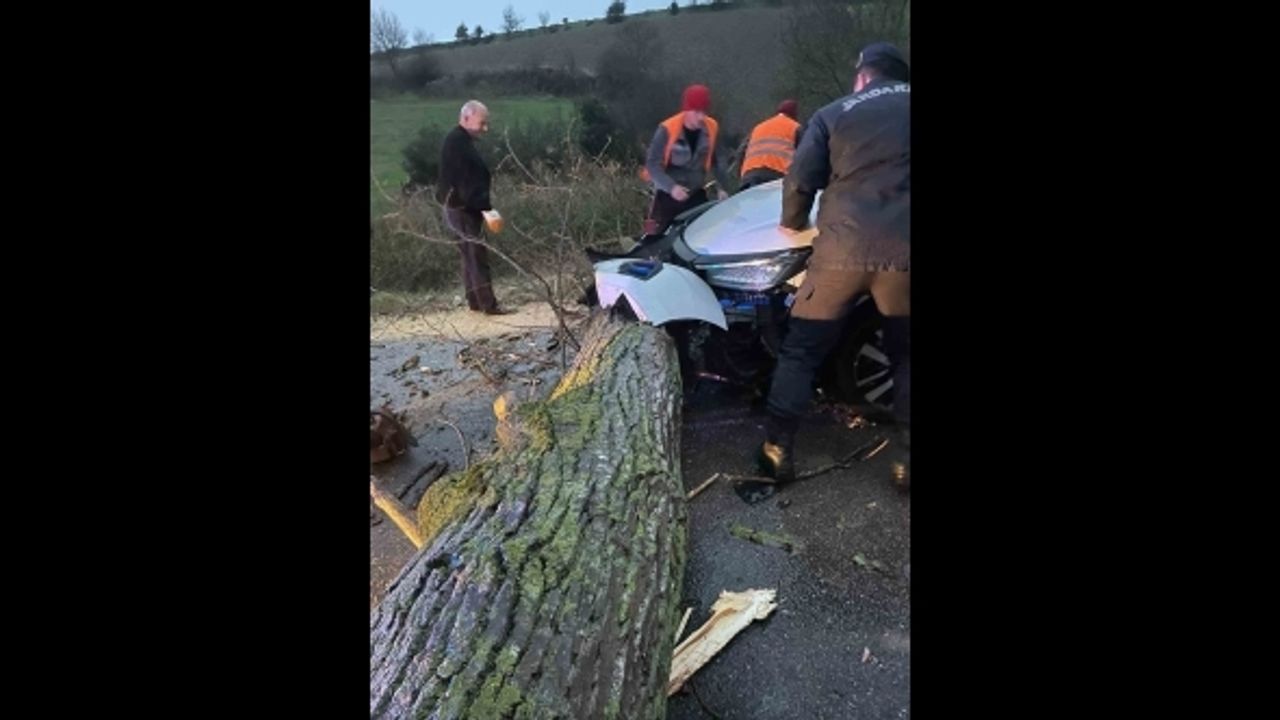 Biga’da otomobil fırtına nedeniyle yola devrilen ağaca çarptı