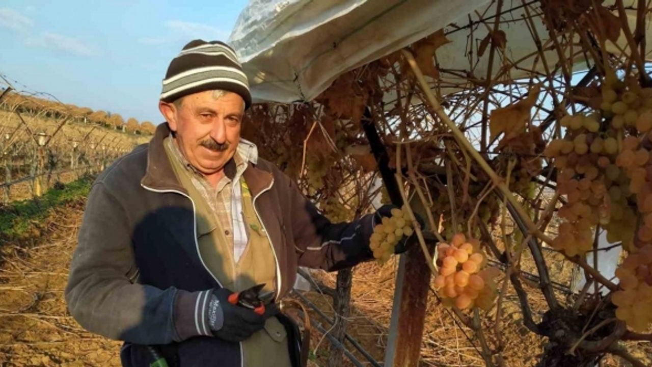 Bir yandan budak yapıyorlar bir yandan üzüm yiyorlar