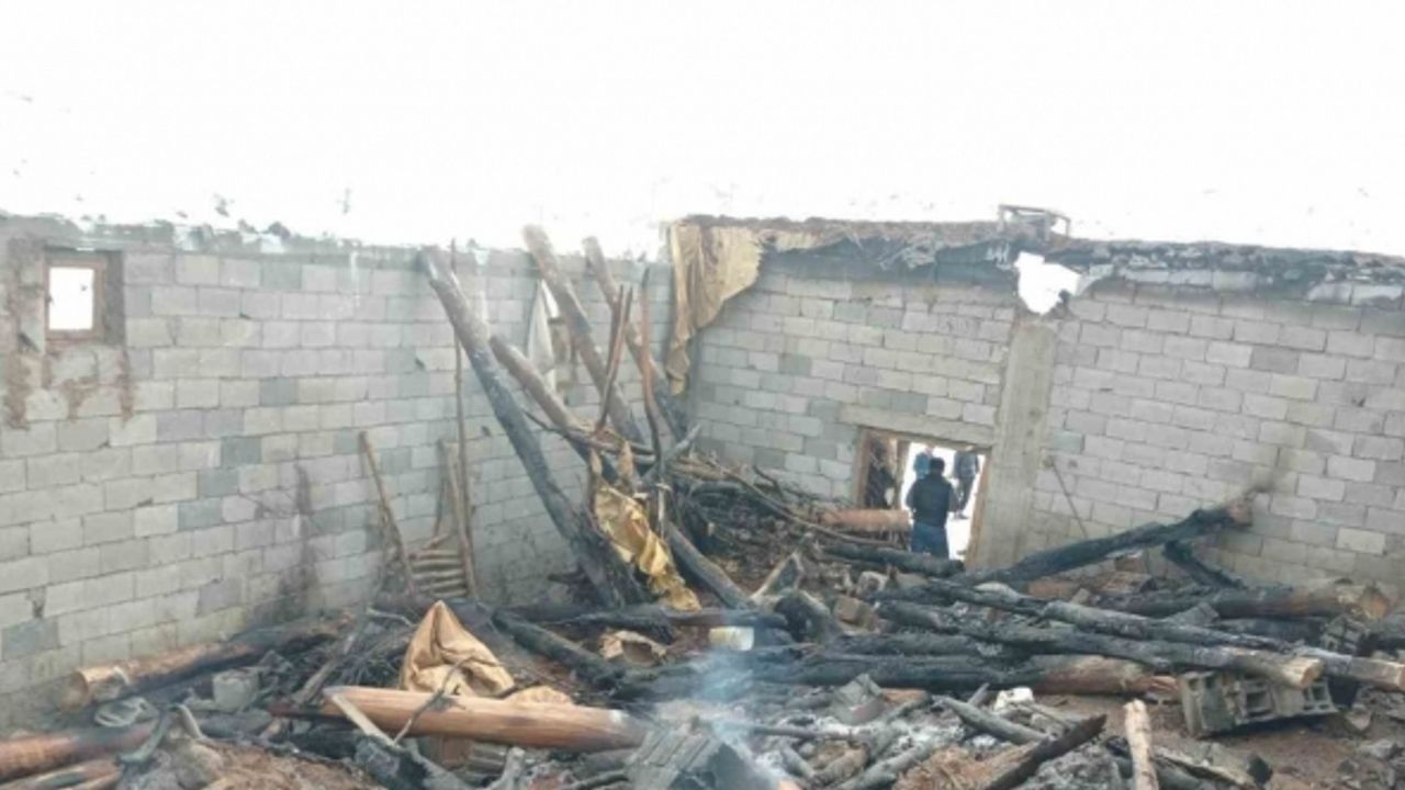 Bitlis’te çıkan yangında 180 küçükbaş hayvan telef oldu