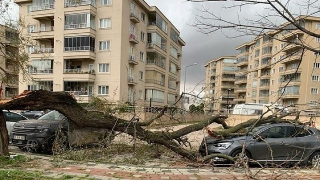 Bursa’da lodos hayatı felç etti: Ağaçları devirdi, çöp konteynerlerini sürükledi