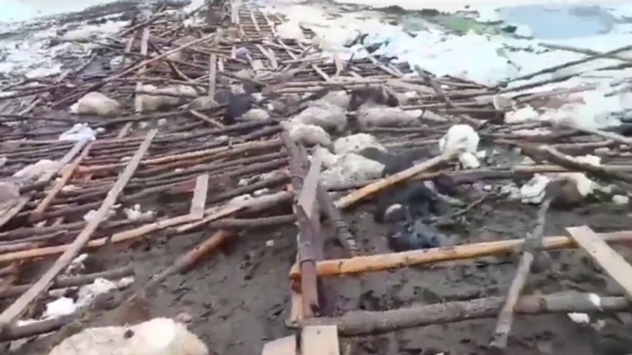 Derecik’te ahır çöktü, 40 küçükbaş hayvan telef oldu