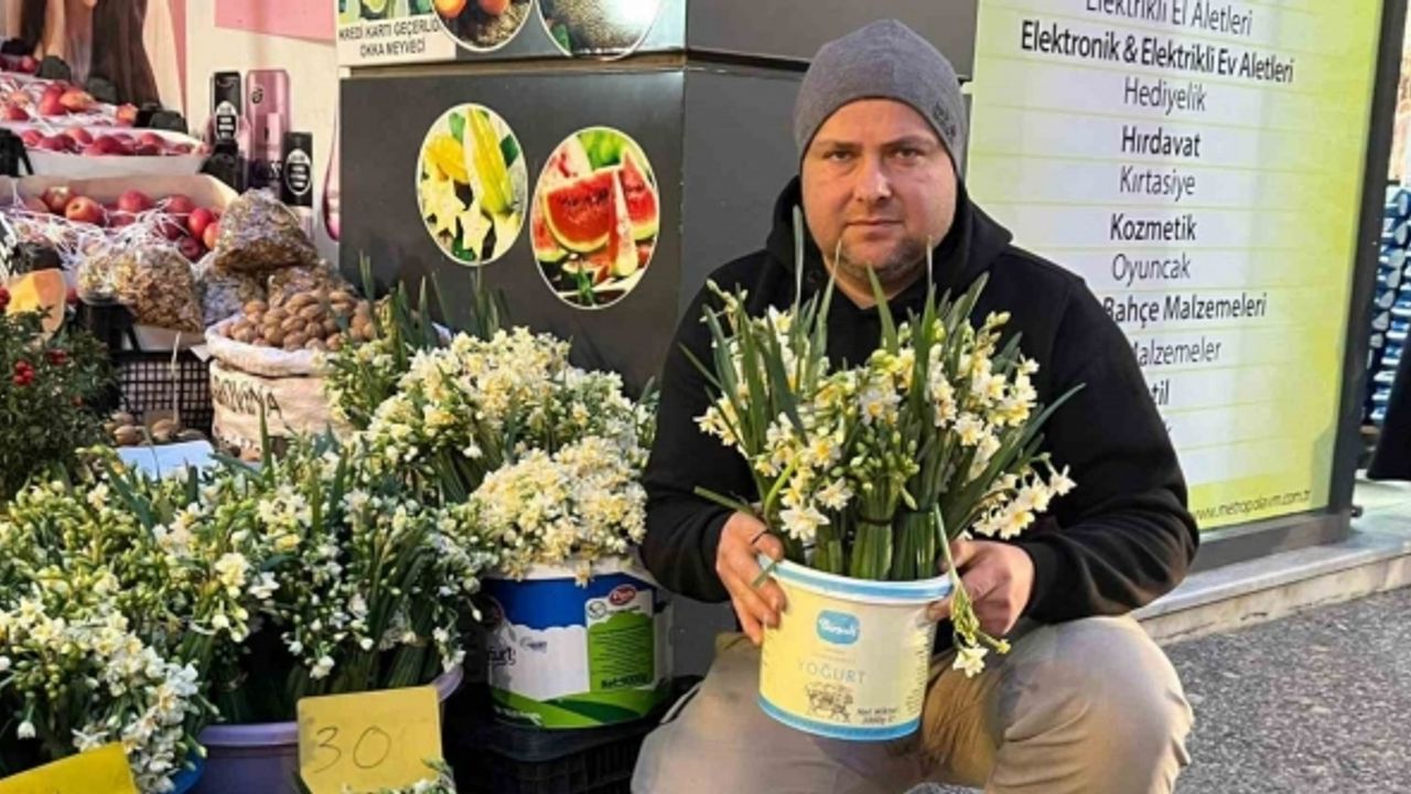 Doğadan gelen nergis çiçeği Sinop’ta gelir kapısı oldu