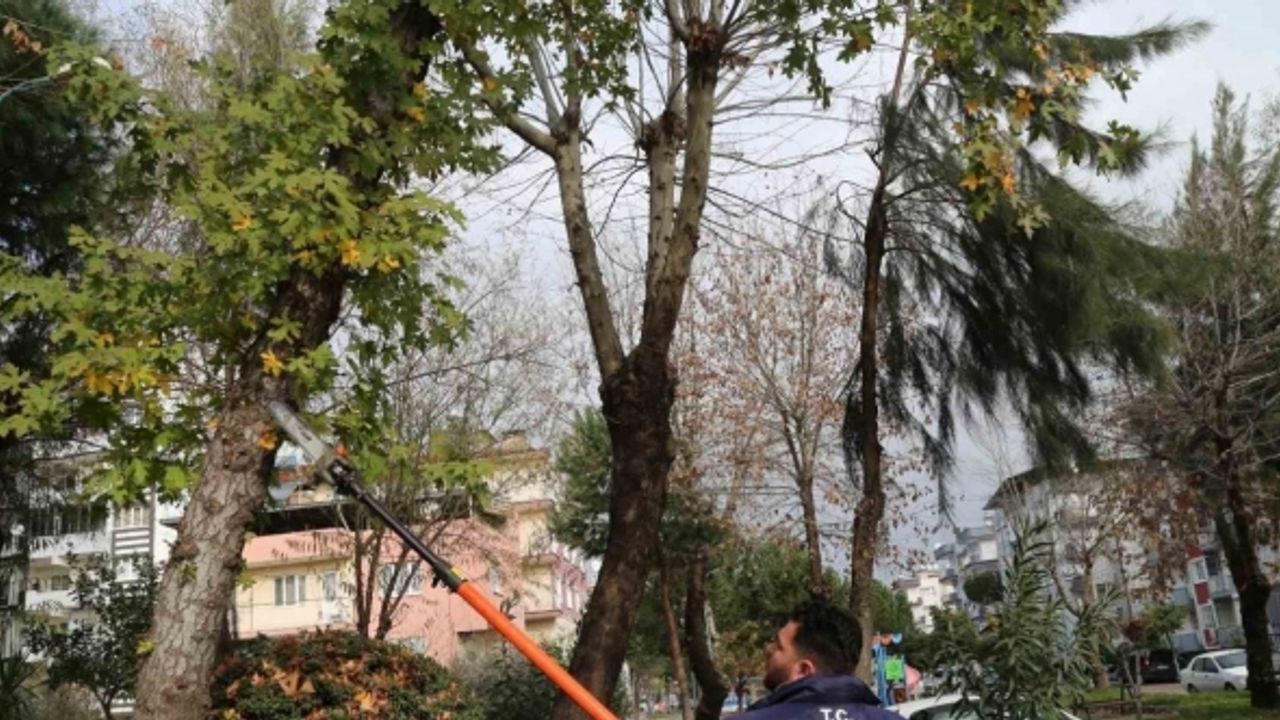 Efeler’in ekipleri park ve bahçelerde bakım çalışması yapıyor