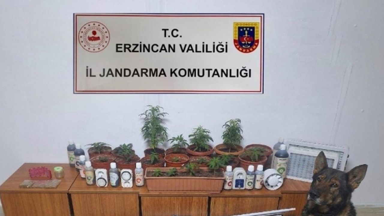 Erzincan’da jandarma ekipleri suç ve suçluya geçit vermiyor