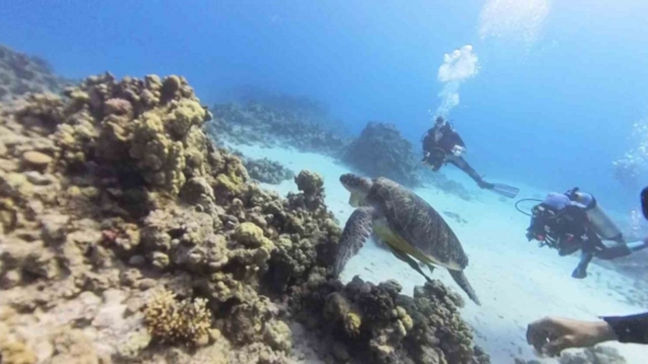 Eskişehir’den yola çıkan ekip, Mısır’ın sualtı güzelliklerini kaydetti