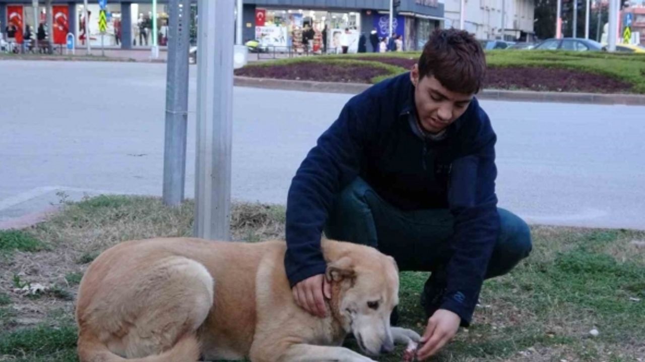 Evsiz gencin en iyi arkadaşı sokak hayvanları oldu