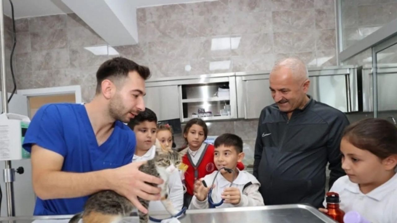 Gebze’de 10 bin 939 yaralı ve hasta hayvanın tedavisi yapıldı