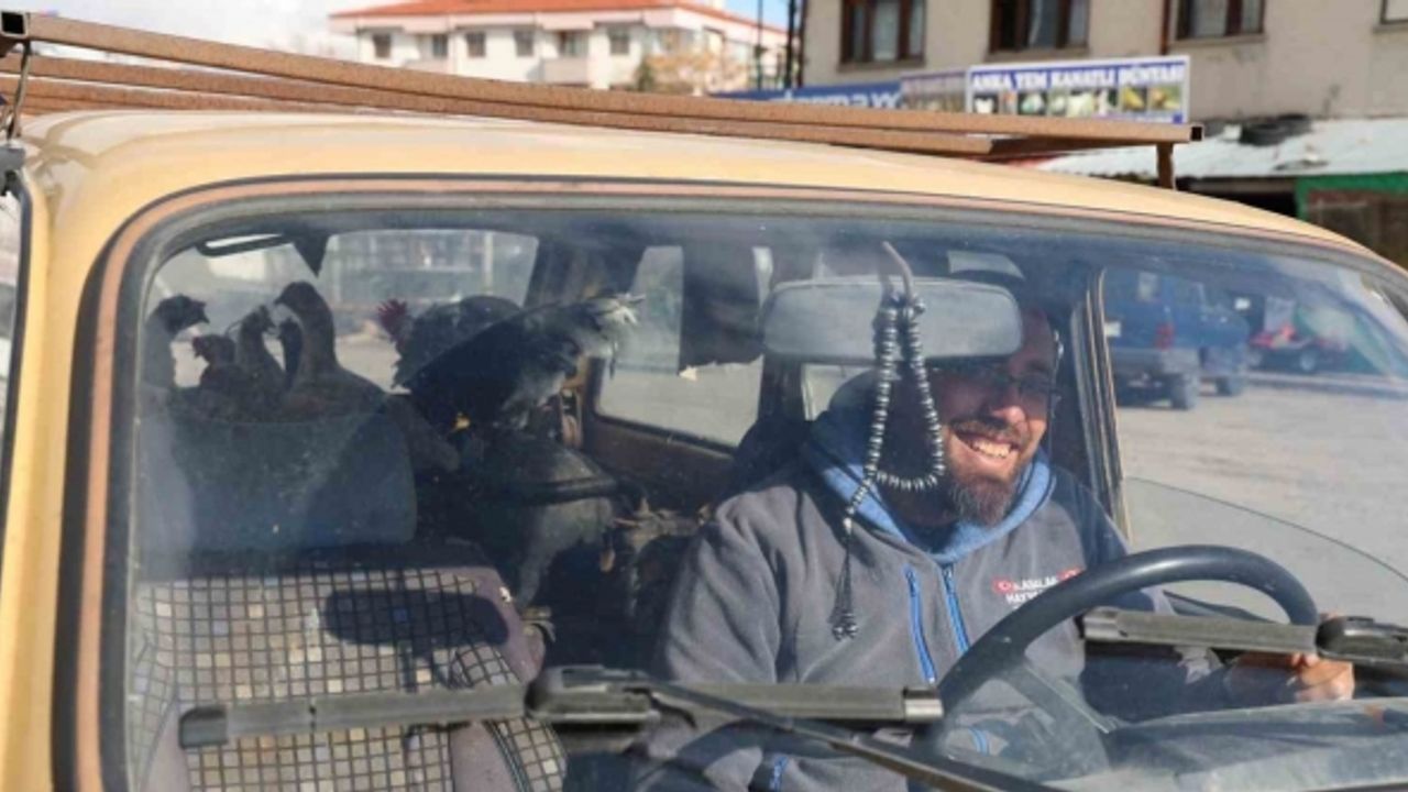Gezen tavuk olsun diye tavuklarını otomobille gezdiriyor
