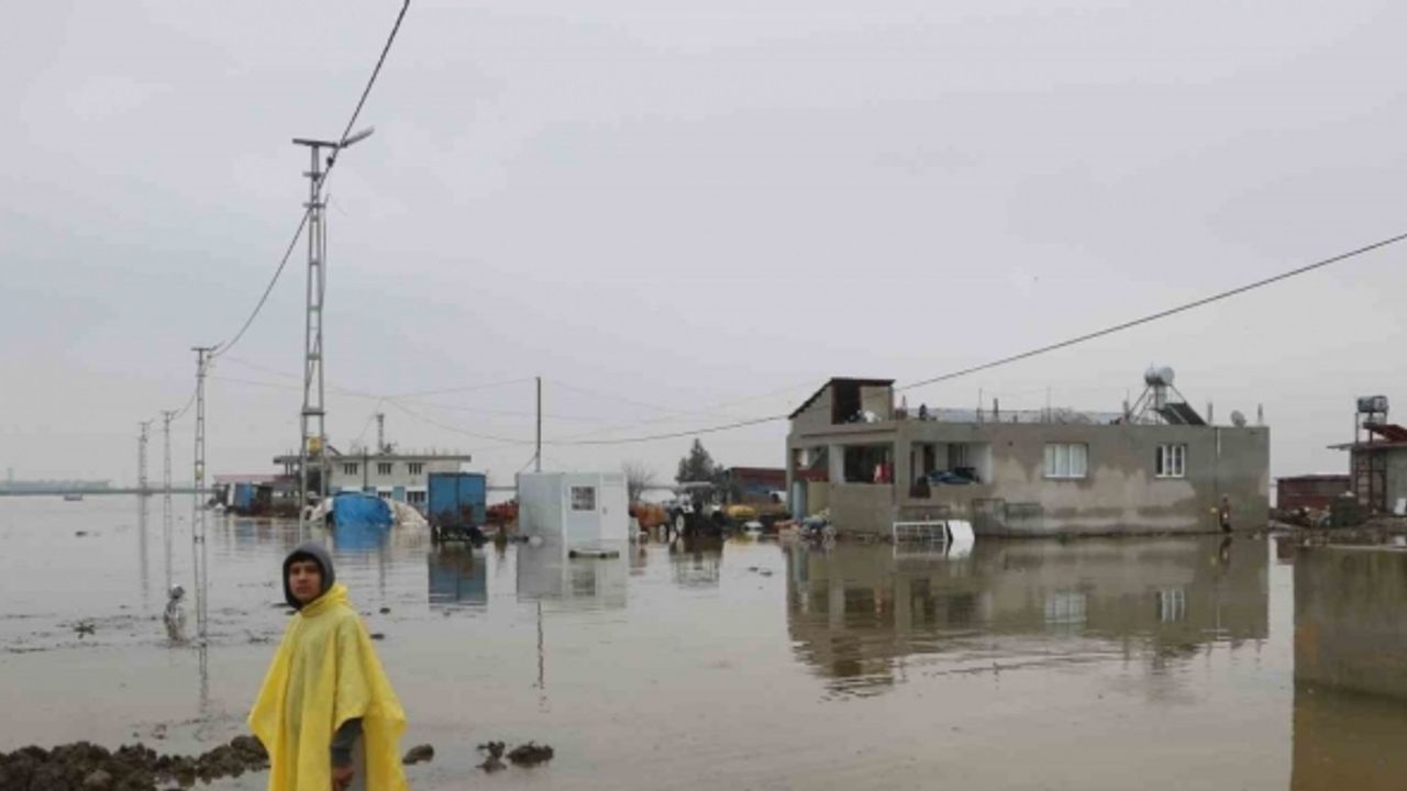 Göle dönen Amik Ovası’nda evler ve ahırlar su içerisinde kaldı
