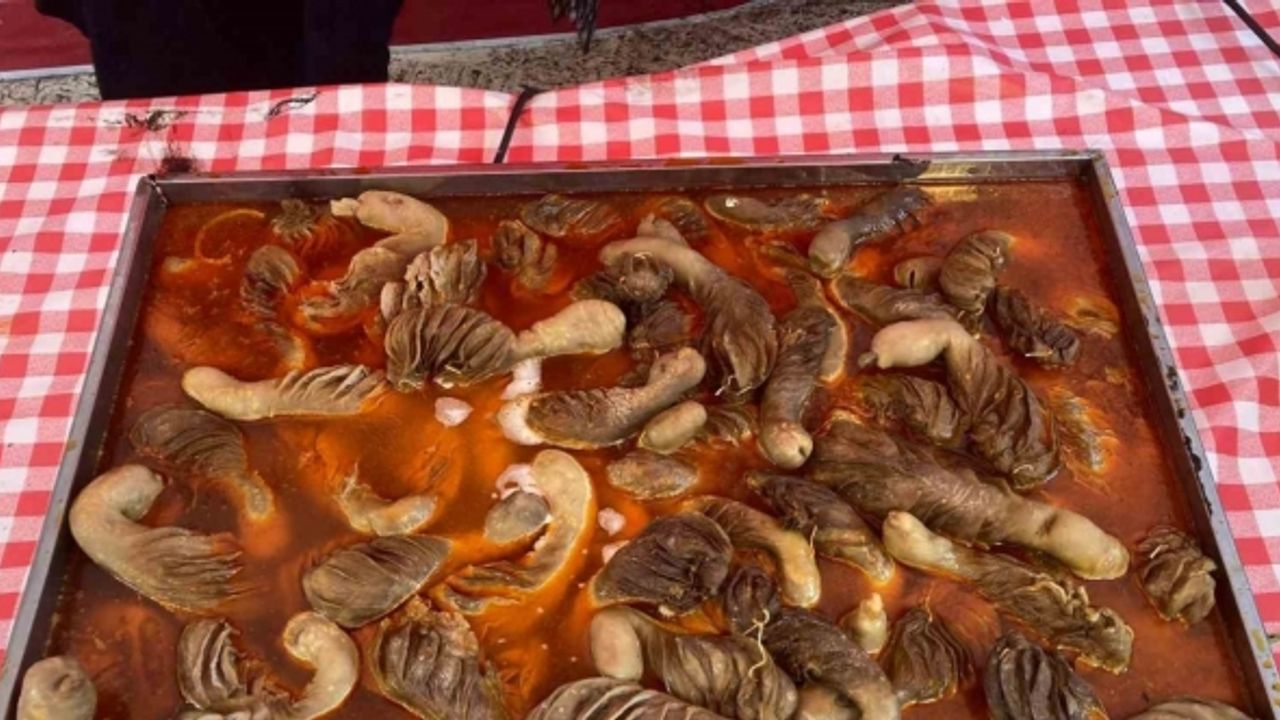 Hatay Tanıtım Günleri’nde renkli görüntüler oluştu