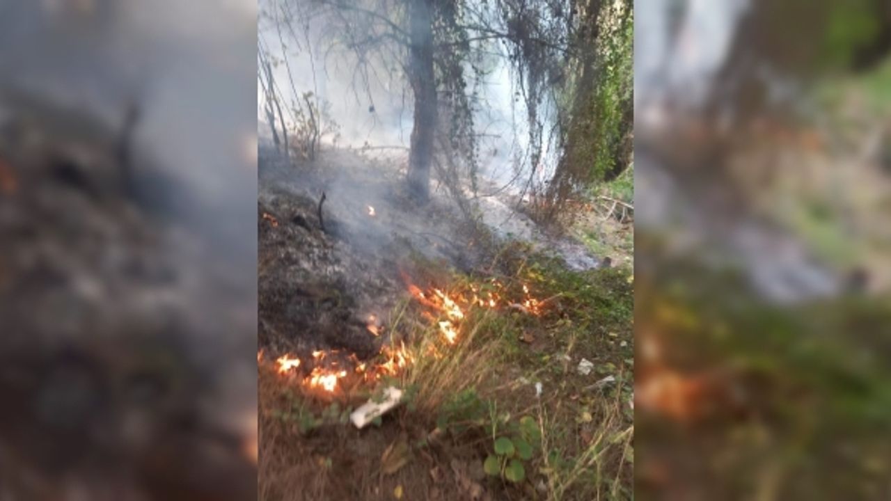 Hatay’da çıkan orman yangını itfaiye ekibi tarafından söndürüldü
