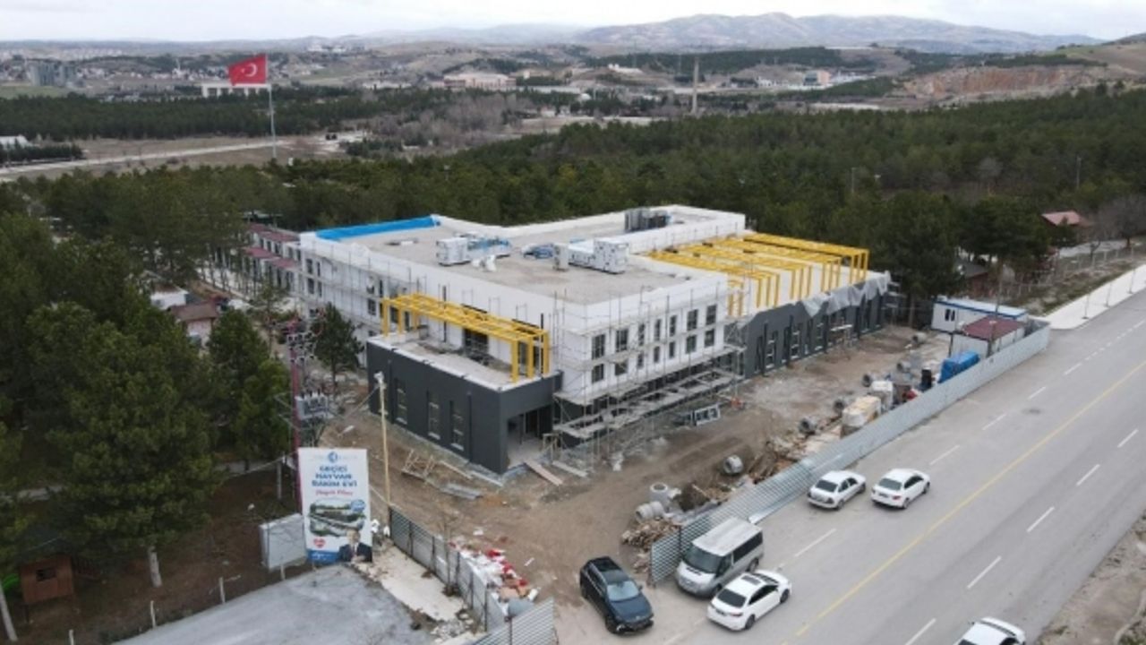 Hayvan hastanesinde incelemelerde bulunan Başkan Aşgın, "Çorum’da sokak hayvanları problem olmaktan çıkacak"