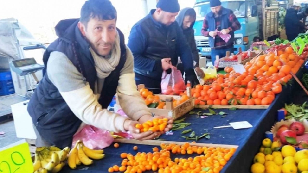Hisarcık’ta şifa deposu Kamkat meyvesi rağbet görüyor