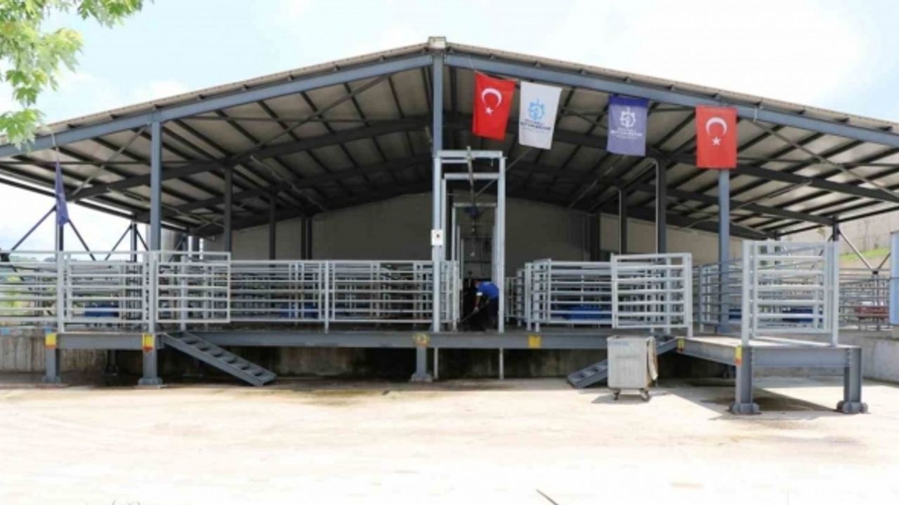 İnsan sağlığını koruyan teknoloji ile seri ve helal kesim