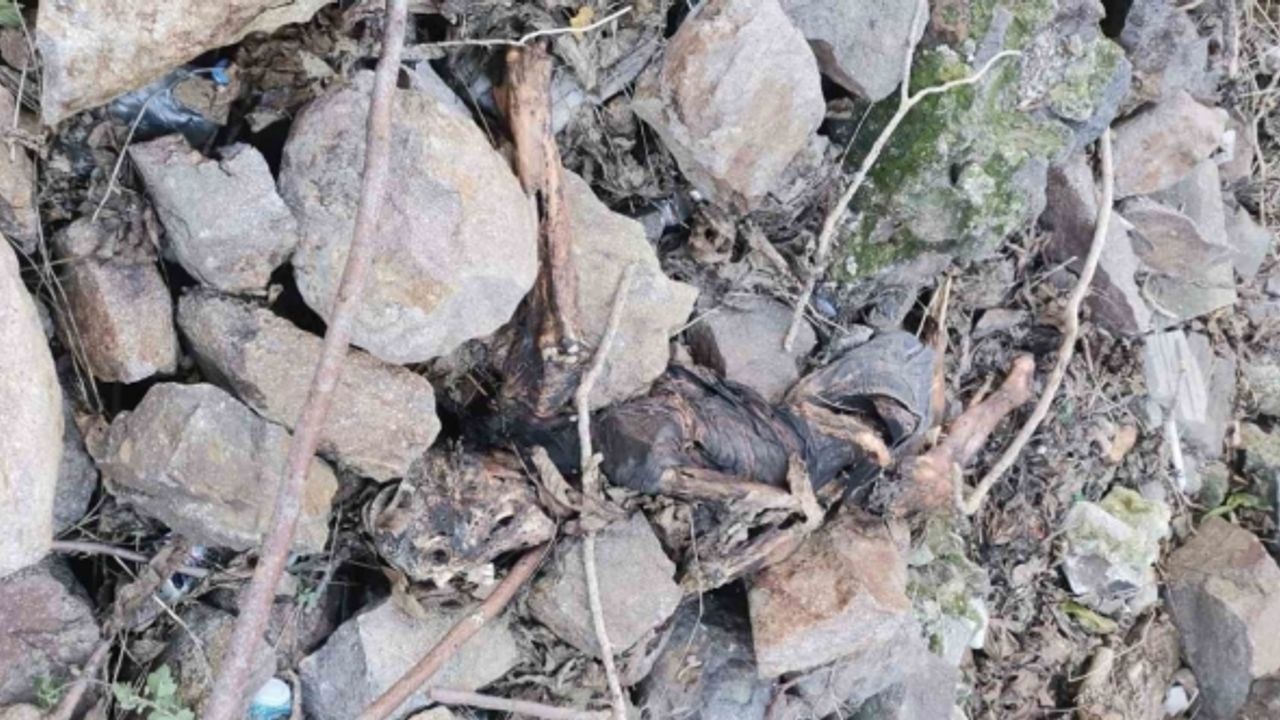 İzmir Tarihi Asansör yakınında insan kemikleri bulundu
