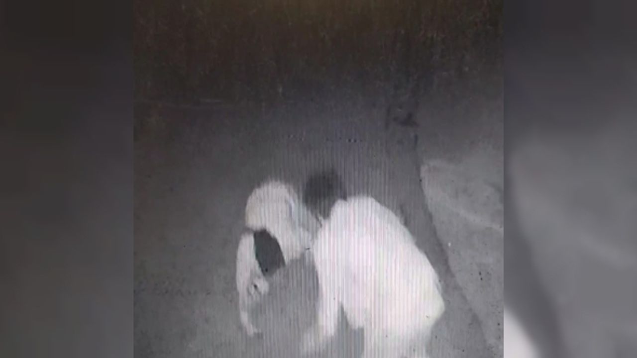 İzmir’deki ‘laf atma’ cinayetinin görüntüsü ortaya çıktı