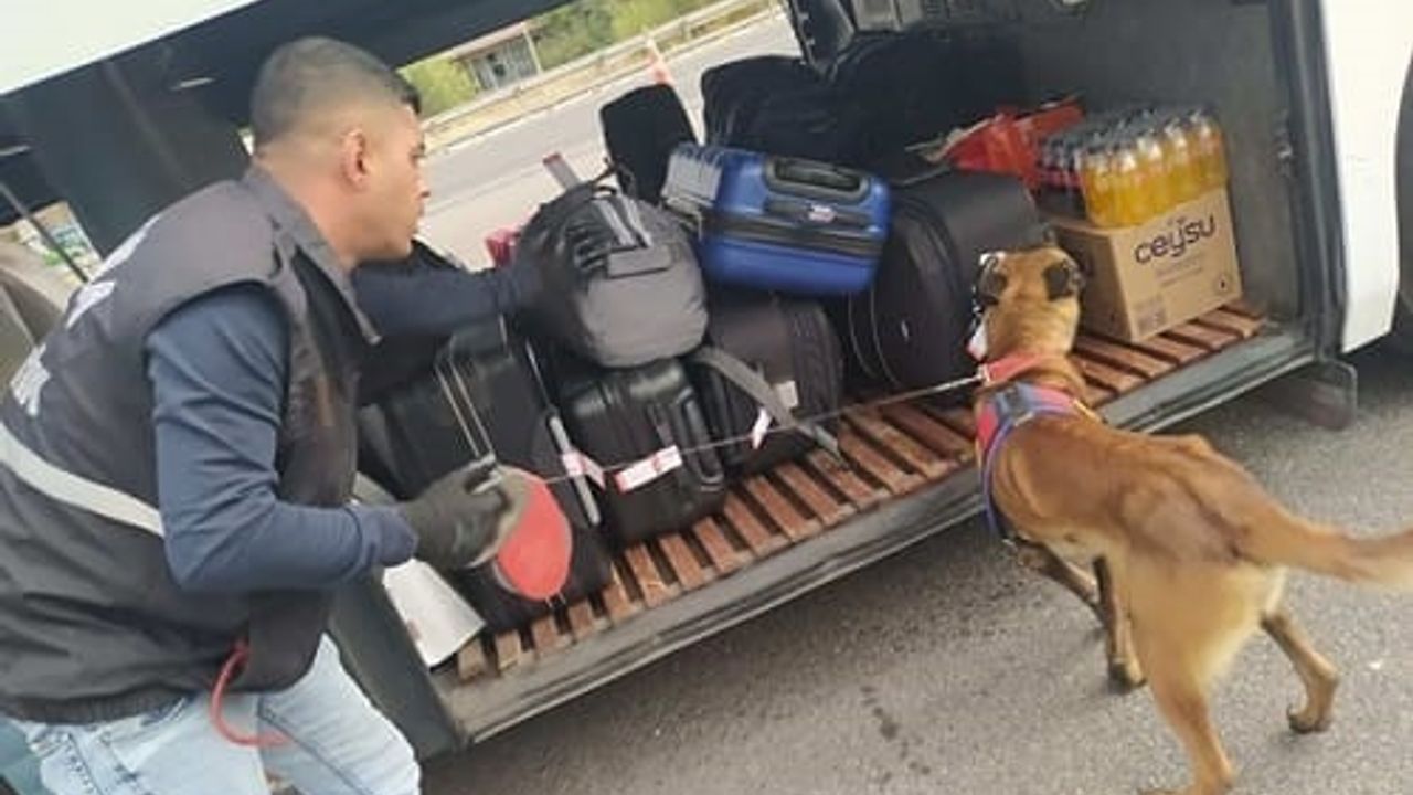 Jandarma 2023 yılında farklı suçlardan 2 bin 836 şüpheli şahsa işlem yaptı