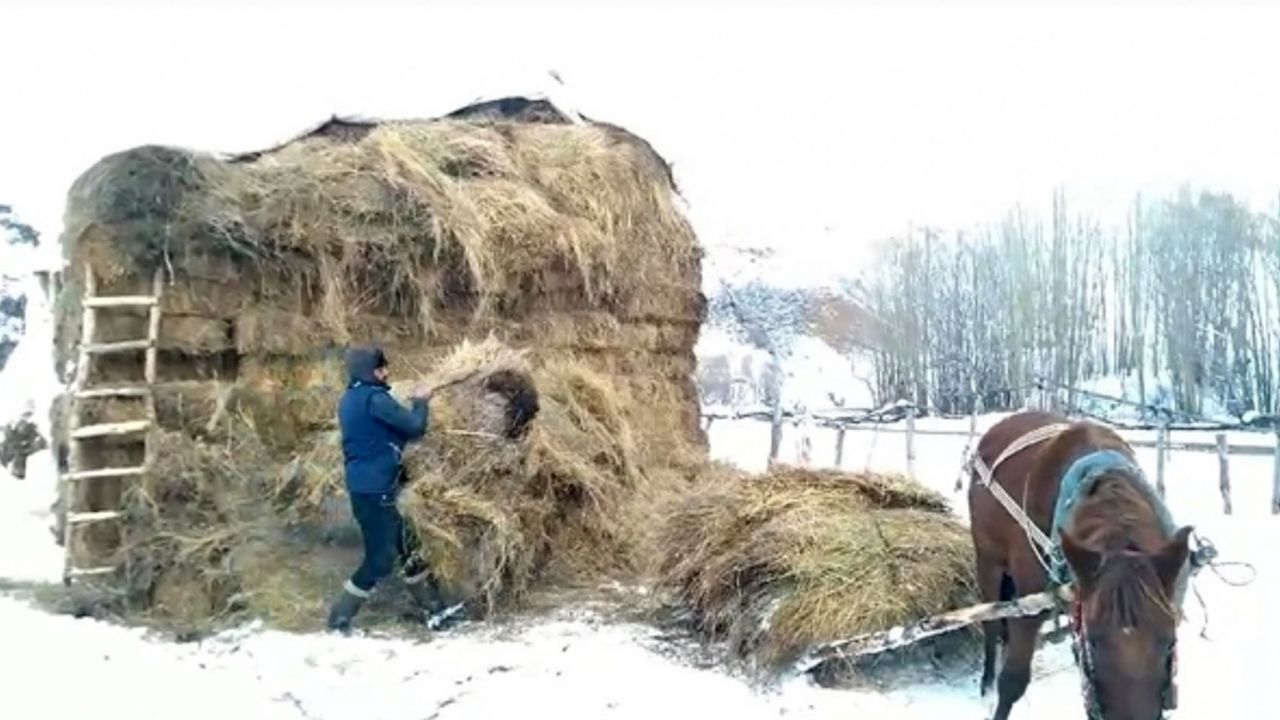 Kardan sonra besicilerin de zorlu mesaisi başladı