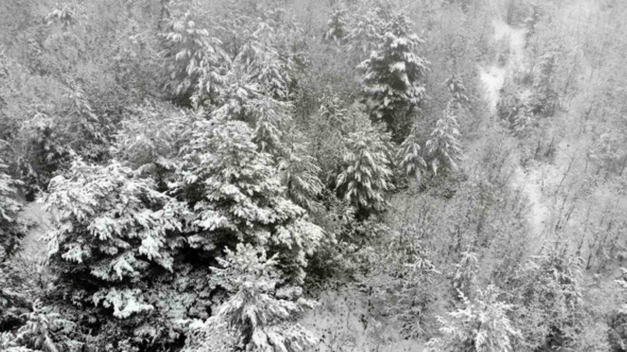 Karla kaplanan Tekçam Geçidi görsel şölen oluşturdu
