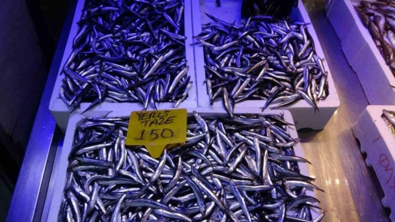 Kilosu 150-180 TL arasında satılan hamsi fiyatıyla şaşırtıyor