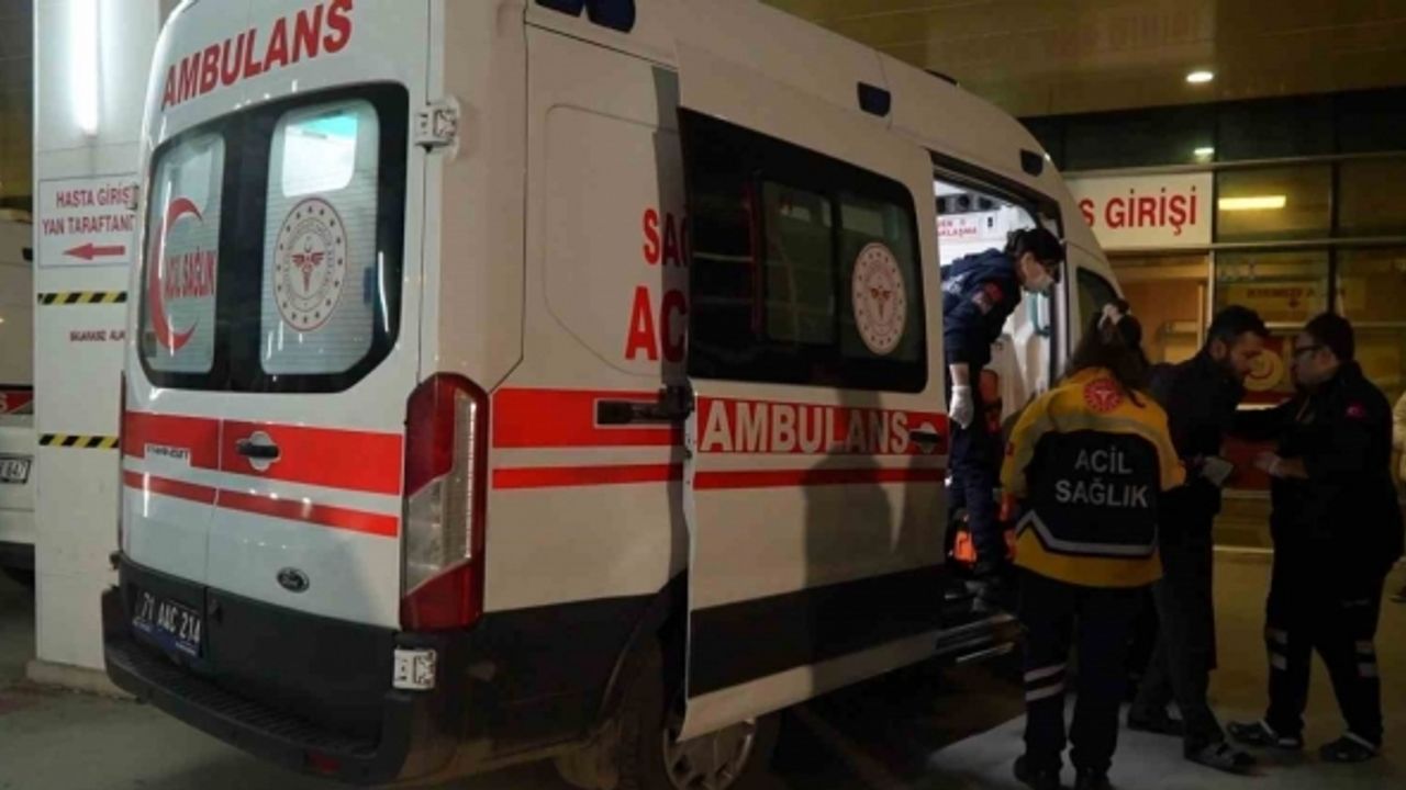 Kırıkkale’de başıboş köpek dehşeti: Saldırıya uğrayan vatandaş yaralandı