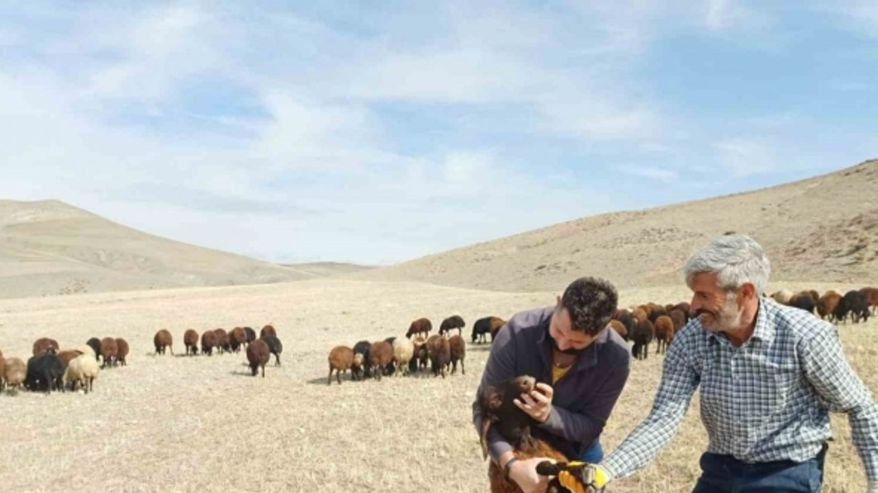 “Köyümde Yaşamak İçin Bir Sürü Nedenim Var”  projesi yeniden başladı