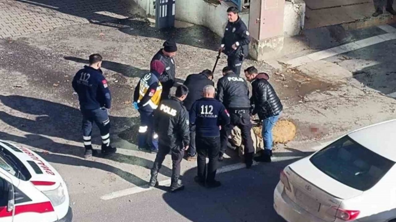 Koyunları ölen adam kendini yakmaya çalıştı